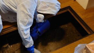 床下のカビ処理